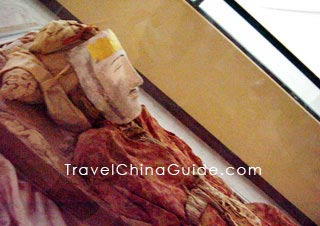 Corpse mummification displayed in the museum